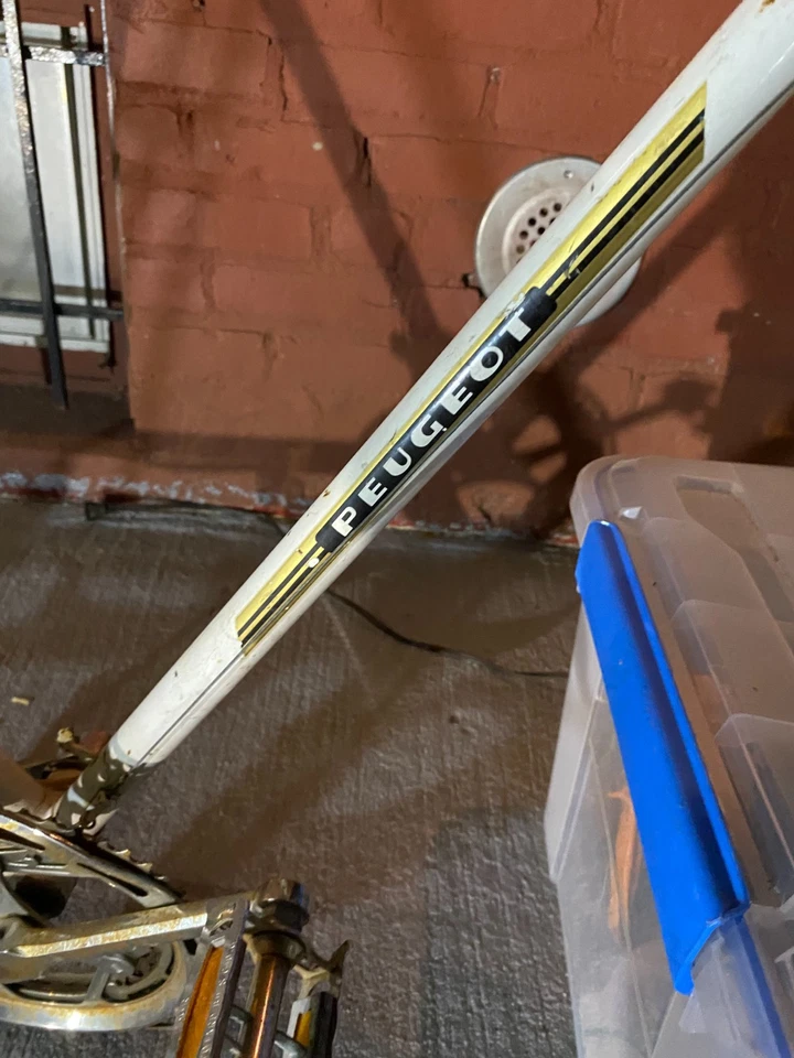 Cuadro de bicicleta Peugeot Record Du Monde, cuadro de bicicleta vintage blanco para hombre, 25" Foto 2 de 4