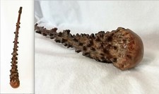 ANCIENNE MASSUE RACINE , ART