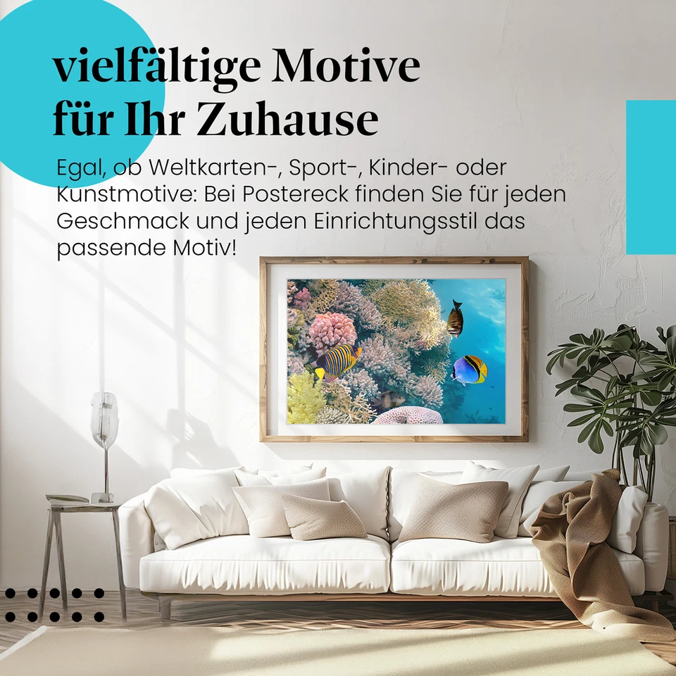 Postereck 0772 Poster Leinwand Korallenriff, Tauchen Fische Meer Natur Wasser - Bild 4 von 4
