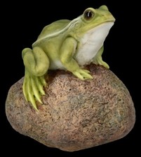 Gartenfigur - Frosch auf Stein- HotAnt Garten Deko Amphibie Realistisch