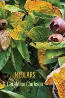 Medlars | Geraldine Clarkson | Taschenbuch | Kartoniert / Broschiert | Englisch