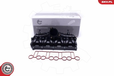 ESEN SKV 49SKV066 Saugrohrmodul for AUDI SEAT SKODA VW