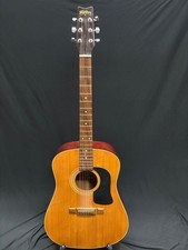 WASHBURN D-12N ACOUSTIC GUITAR WITH GIG BAG
