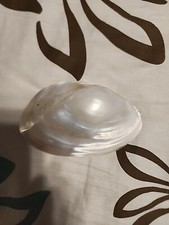 White Pearl Seashell Belt Buckle Oval Design Shimmery