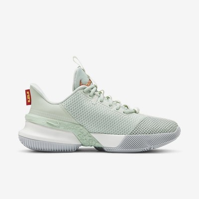 Nike Lebron Ambassador XIII 13 [CQ9329-300] Men Basketball Shoes