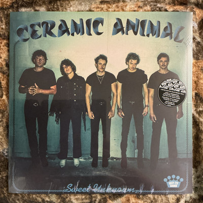 Sweet Unknown by Ceramic Animal (Record, 2022)