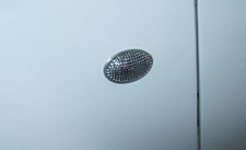 LOTUS ELISE S1 Blinker Seitenblinker Klarglasblinker Transparent weiß 1 Satz