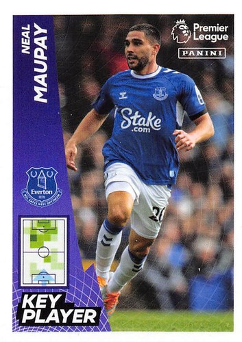 ADESIVO PANINI PREMIER LEAGUE 2023 - #226 - #433 EVERTON - MAN CITY 2022/23 - Foto 29 di 209
