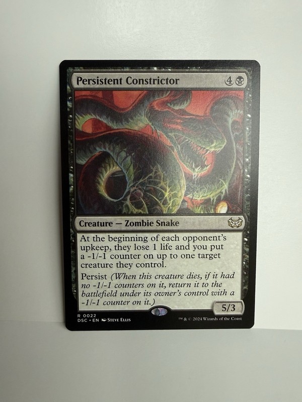 Persistent Constrictor #22