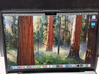 Apple MacBook Pro 16'' (1TB SSD, M1 Max, 32GB) Laptop - Space Gray - MK1A3LL/A...