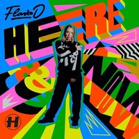 Flava D - Here Now - Vinyl Record Lp - G4Z