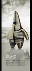 Bild 8 von 8