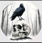 1 OZ 999 PURE SILVER HAYLEYBUG MINT RAVEN'S VIGIL COLORIZED ART ROUND RAVEN BIRD