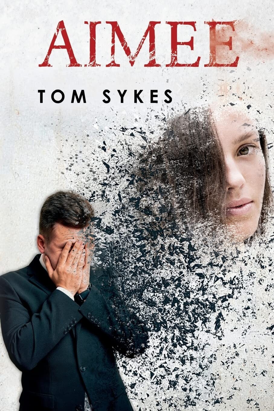 Aimee by Tom Sykes Paperback Book - New