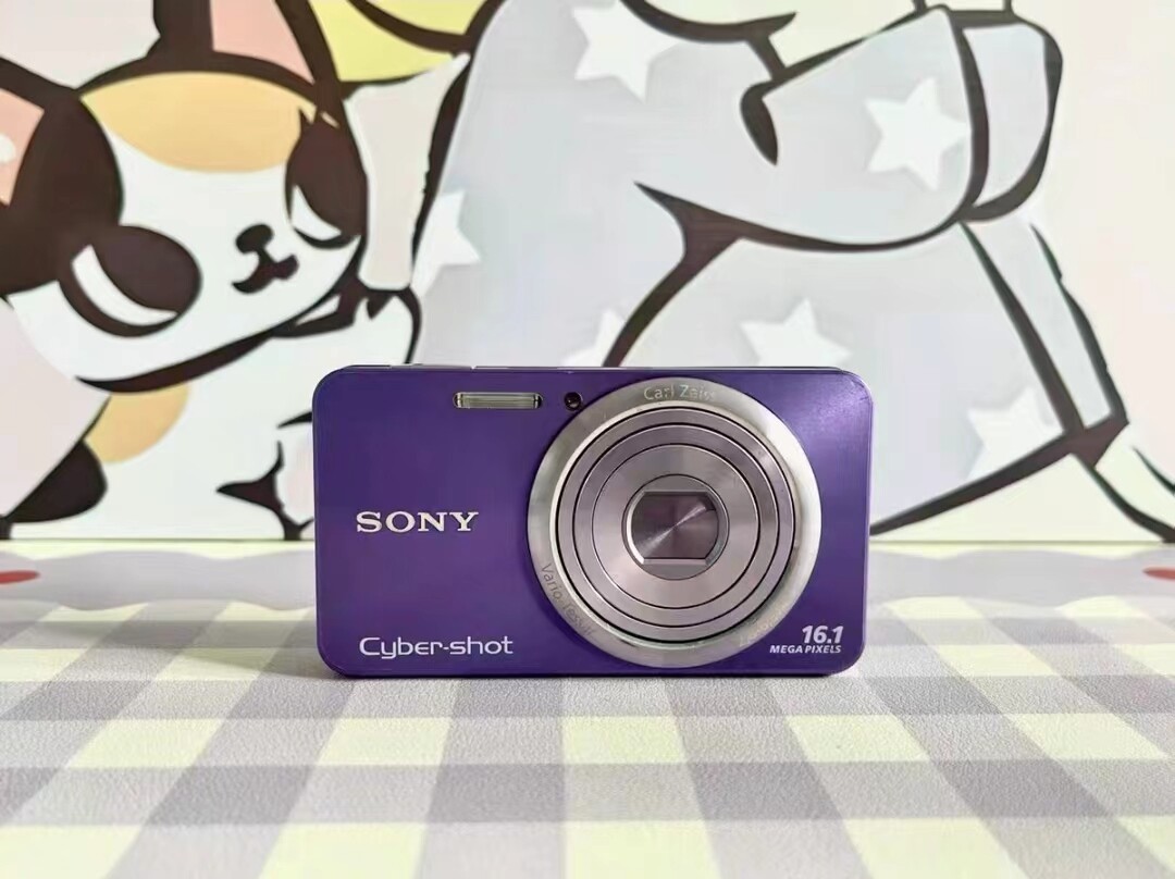 SONY Cyber-shot DSC-W570 16.1MP 5x Optical Zoom Digital