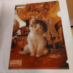 Makoto Muramatsu | eBay