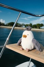 Chip Seagull Fun Stuffed Ocean Sea Bird Soft Plush Toy Gift