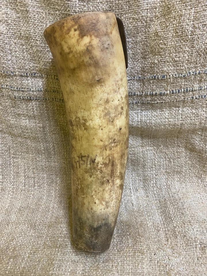 Antique vintage cow horn whetstone grinding stone case made in Slovakia - Image 3 of 4