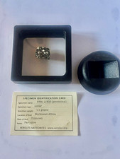 NWA 11303 Lunar Meteorite Slice 1.1g Specimen with Display Case