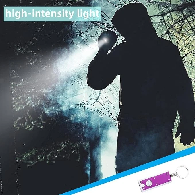 1~500x Mini Keychain Flashlight LED Light Bulk Small Flashlight for Outdoor Lot - Image 4 of 4