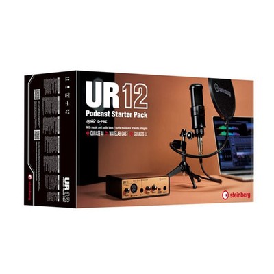 Steinberg UR12 USB Audio Interface with iPad Support STEINBERG