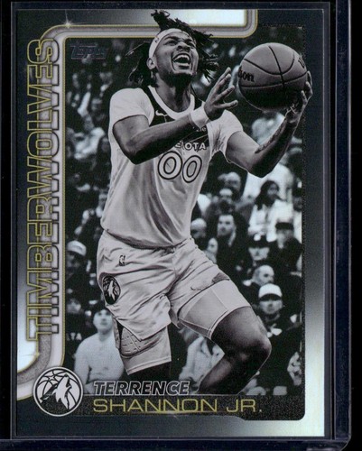 Terrence Shannon Jr. – 2025-26 Topps Basketball · Base Cards I Blackout Variation #113 Terrence Shannon Jr.