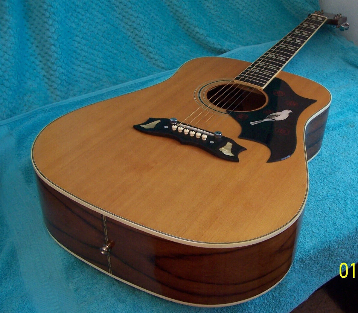 Global shop guitar acoustic