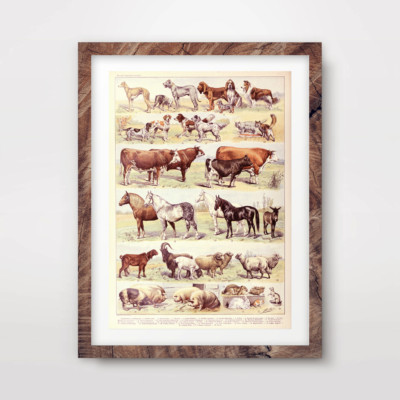 VINTAGE BAUERNHOFTIERE KARTE KUNSTDRUCK Landschaft Poster Wohndeko Wandbild