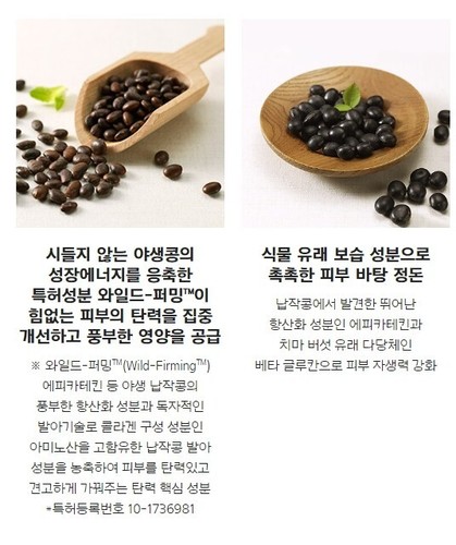 PRIMERA Wild Seed Firming Line 5 Items Kit Anti-Aging Korean Skin Care K-Beauty - 第 5/17 張圖片
