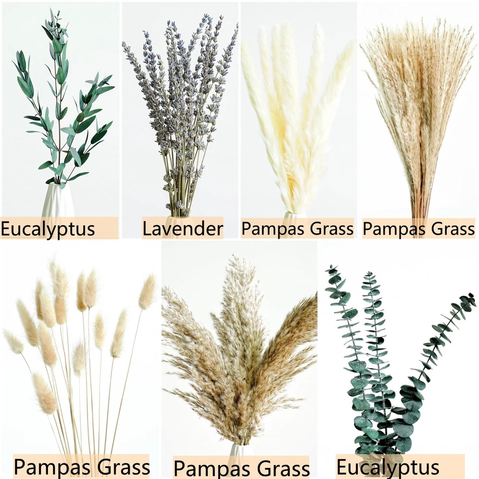 Ramo Boho Hierba Pampeana Verde con Decoración Flores Secas de Eucalipto Lavanda Foto 3 de 4
