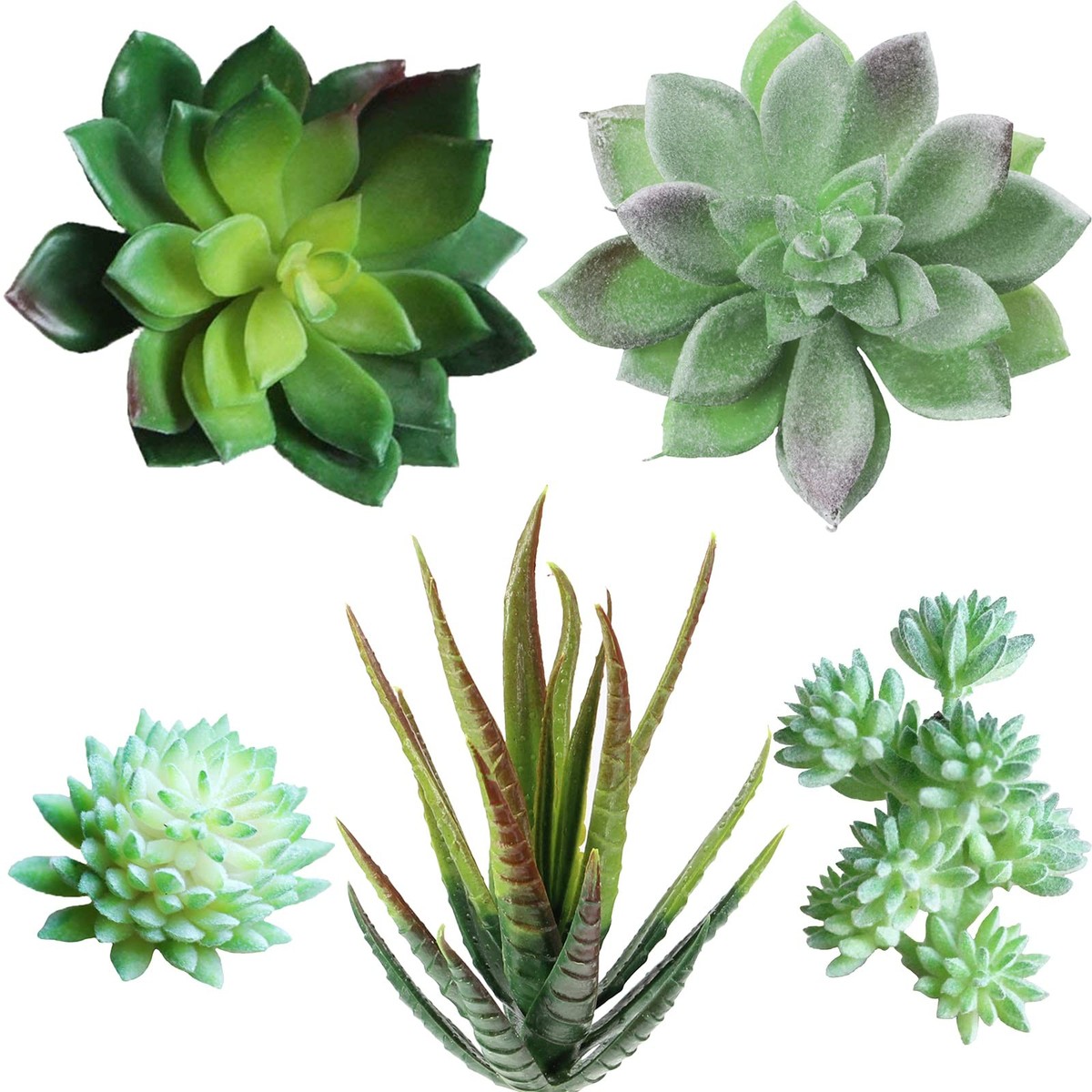 Supla 5 Pcs Assorted Artificial Succulents Plants Unpotted Small Green  Cactus | eBay