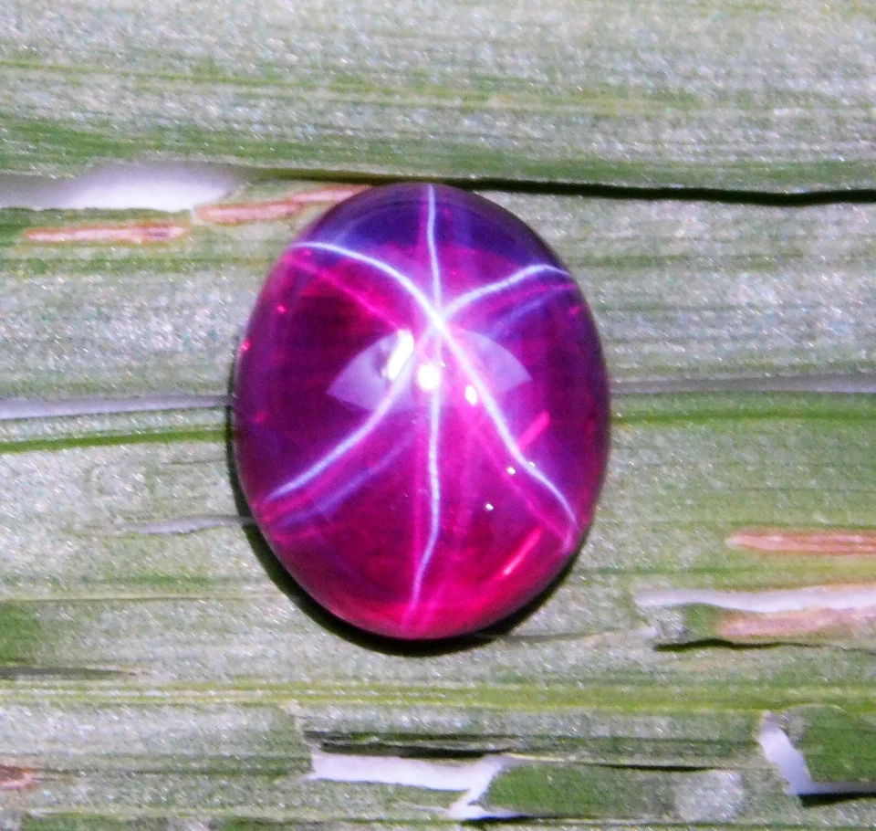 17.15 Ct Natural Red Star Ruby Cabochon Cut CERTIFIED Loose Gemstone 6 Rays - Image 4 of 4