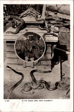 Postcard South Africa Port Elizabeth In the Snake Pit 1942 censor stamp