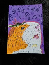 ACEO Guinea Pig Acrylic And Ink Cute Strawberry Hat In Purple Background 