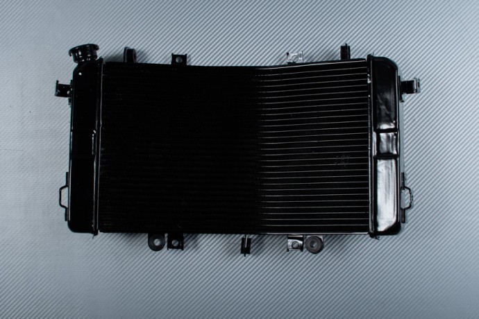 Radiateur eau moto Suzuki B-King 1340 GSX BKING WVCR 2007 2008 2009 2010 2011