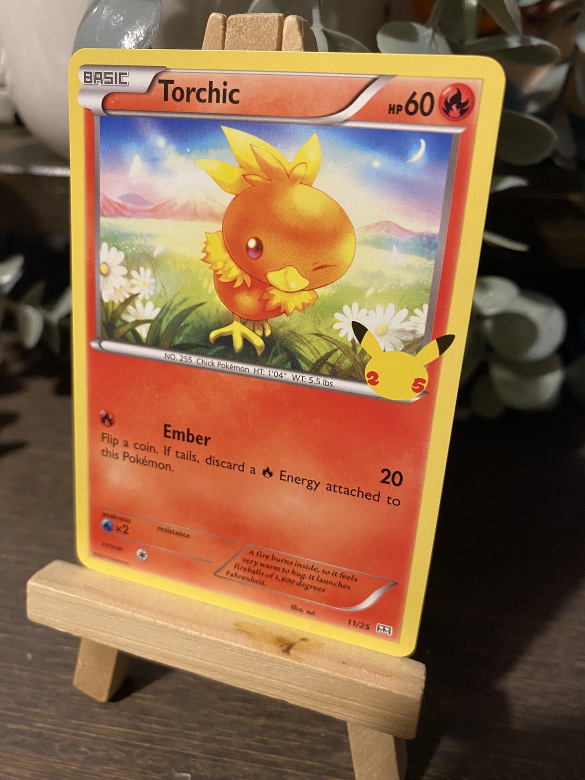 Pokemon - Torchic 11/25 - McDonalds 25th Anniversary - Non Holo - Near Mint