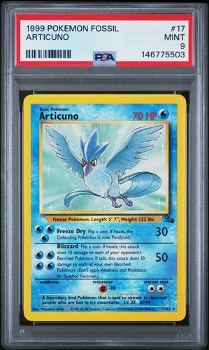 Articuno (17)