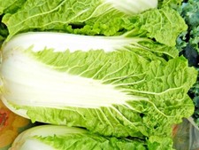 Semillas De Col China (Pekin) Verdica - Para Cosecha De Otoño, Hojas Crujientes, Cabezas De 1 Kg