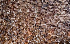 Ultra-Lite Lightweight Real-life Camo Camouflage Blind Net Decor w/ Carry Pouch