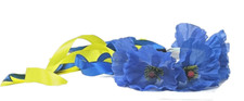 Ukrainian Blue Poppy Flower Headband Ribbons, Hair Accessories, Vinok