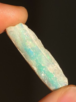 Australian Crystal Opal Belemnite Fossil 14 Carats | eBay