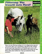 El cuidado de un caballo (7) - Tarjetas informativas