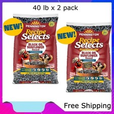 Pennington Select Black Oil Sunflower Seed Wild Bird Dry Feed, 40 lb. x 2 Bags
