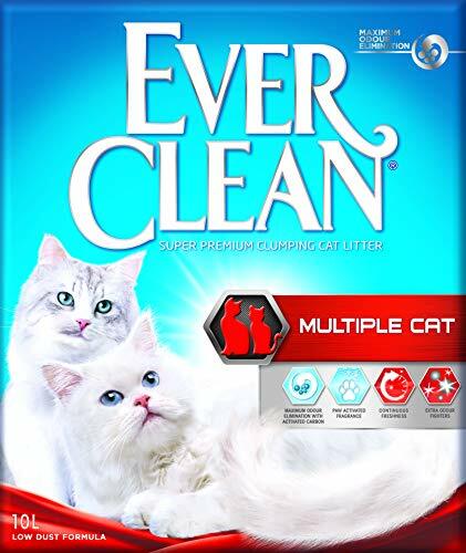 everclean multiple cat