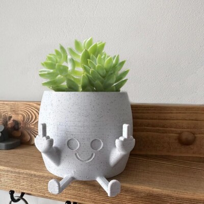 Whimsical Succulent Planter with Smiling Face & Middle Finger for Unique Gifting