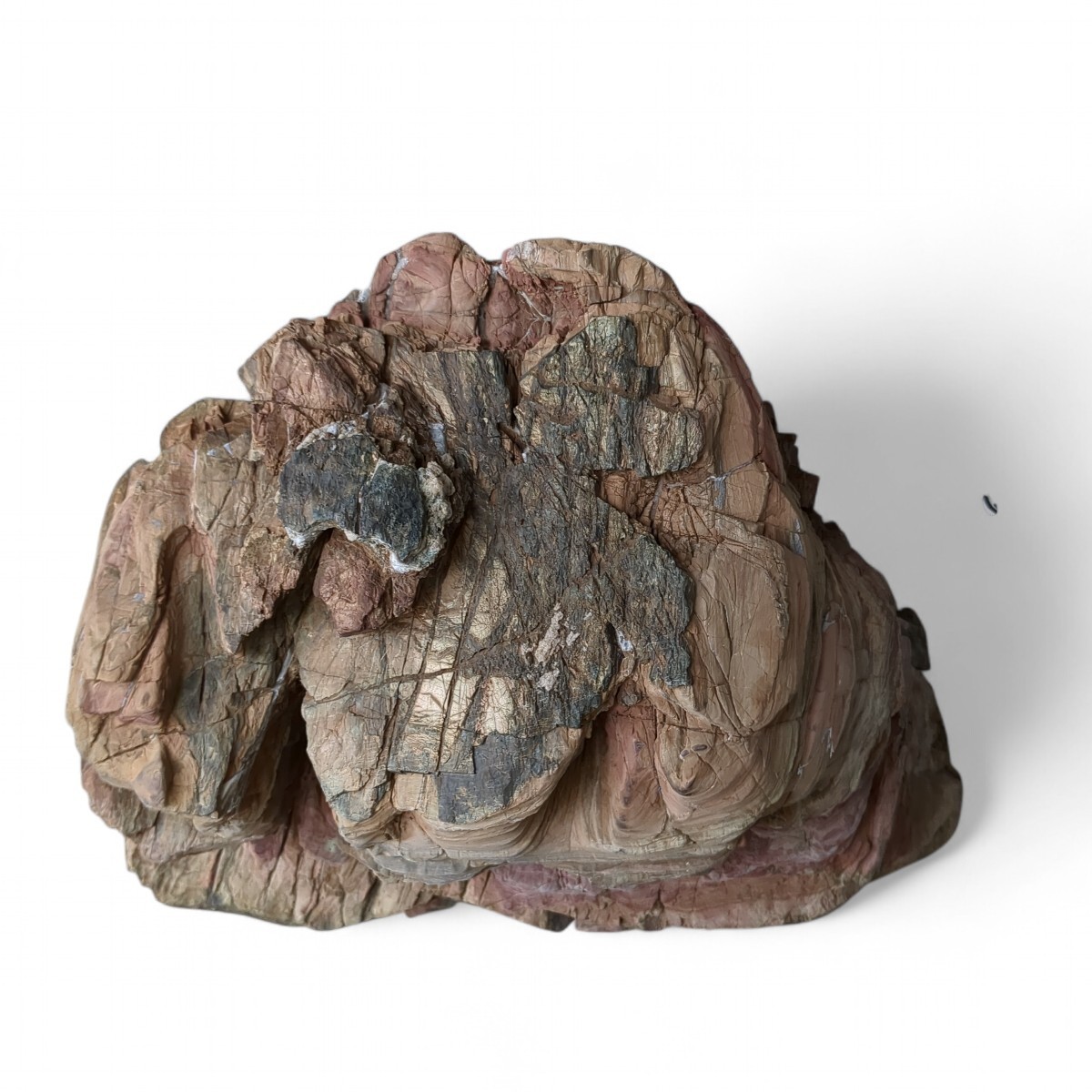 Suiseki Viewing Stone Bonsai Ise Yoroi Stone ornamental stones 8.6