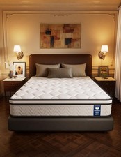 Queen Mattress, 12in Memory Foam Hybrid Mattress, Medium Firm and Individuall...