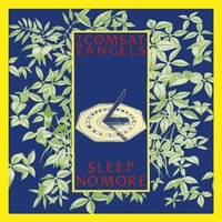The Comsat Angels Sleep No More (Cd) Album (Us Import)