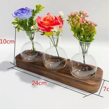 Hydroponic Vase Glass Terrarium Plant Basket Bonsai Transparent 3 Piece