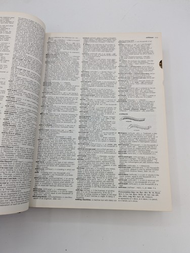 The World Book Dictionary 1979 edition Thorndike Barnhart 2 Vol set Finger tabs - Picture 7 of 8
